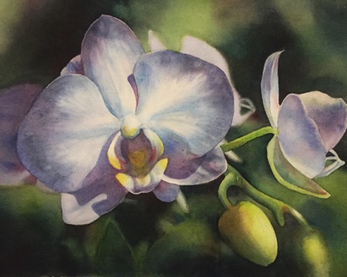 Lone Orchid
11" x 14"
